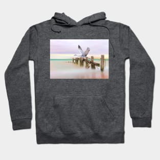 Sandhill Crane and Old Dock Hoodie